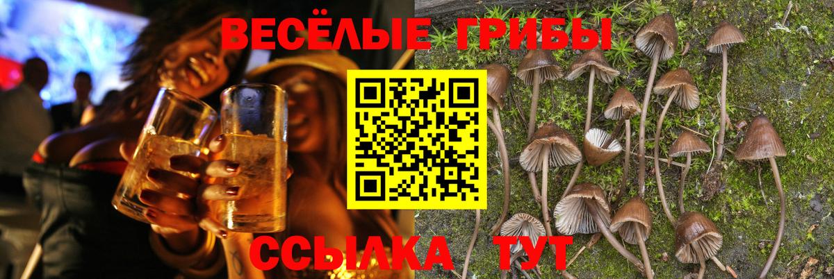 Кунгур  Галлюциногенные грибы Psilocybe  Вход с VPN 